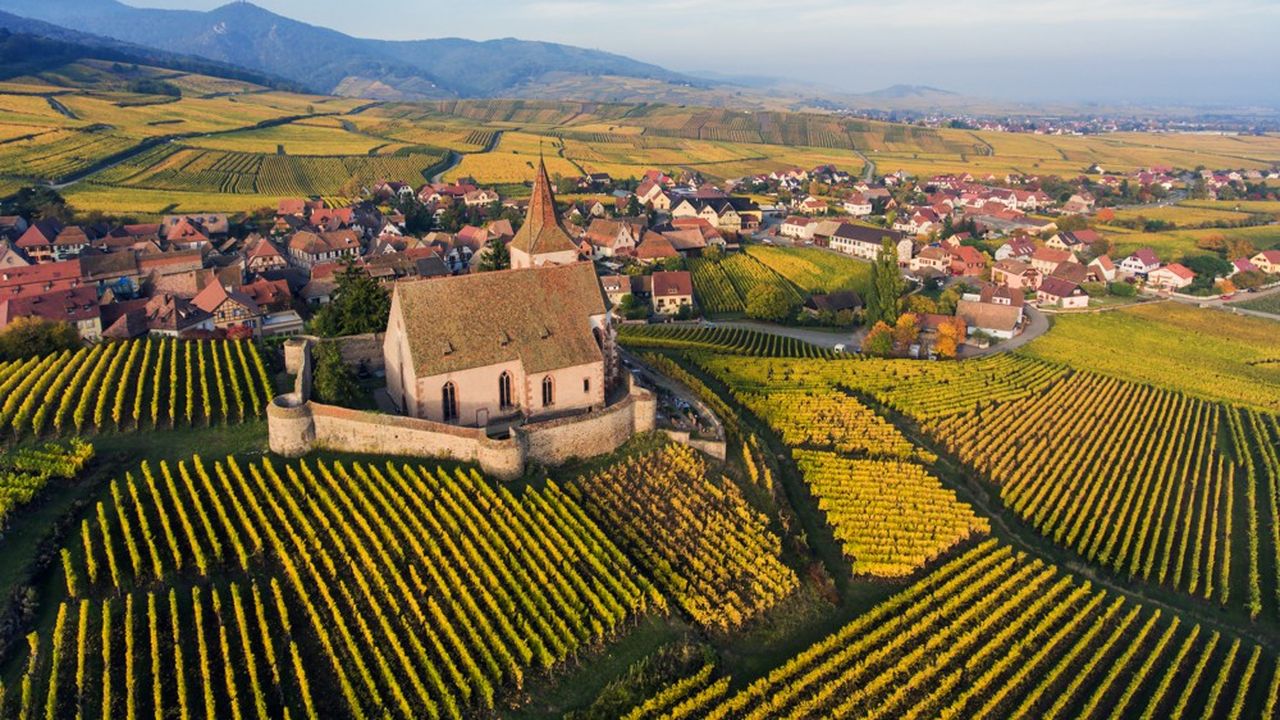 La commune de Hunawihr, dans le Haut-Rhin, a été bâtie dans un vallon dédié aux vignes.