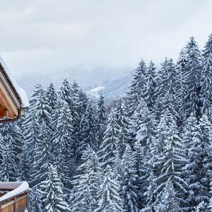 Seule une dizaine de stations dans les plus grands domaines skiables français situés à une altitude relativement élevée (au-dessus de 1.400-1.500 m) garantissent un enneigement maximal.