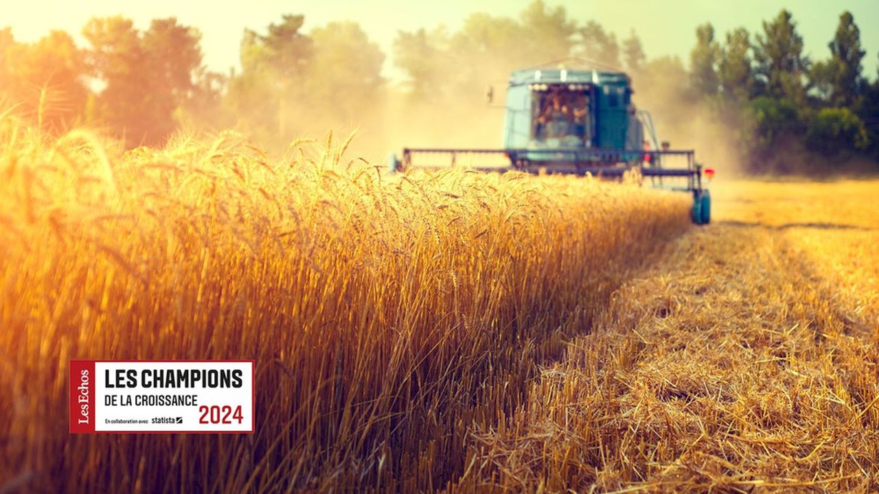 Les Champions de la croissance 2024 dans l'agro-alimentaire.