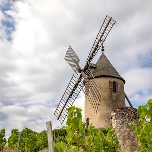Le cru « Moulin-à-Vent » tire son nom du moulin à vent de Romanèche-Thorins (Saône-et-Loire), construit au milieu des vignes en 1550 et classé Monument historique.