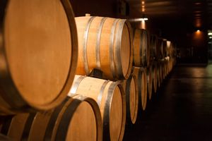 A elles deux, les coopératives gardoises UDM et Grap'Sud traitent environ 300.000 tonnes de marc, lies et vins par an.