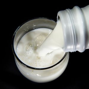 Le lait est conditionné à la laiterie Lorco installée dans la commune de Pont-Scorff.