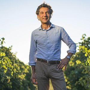 Jean-Claude Mas dans son vignoble à Montagnac dans l'Hérault.