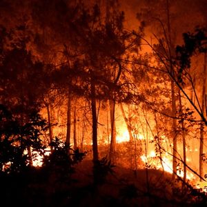 Vendredi matin, le feu avait ravagé 620 hectares dans le Gard.