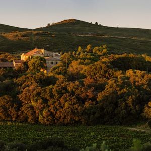 AdVini détient un patrimoine viticole de 2.500 hectares en exploitation, et 20 maisons de vin réparties dans l'ensemble des régions viticoles du sud de la France.