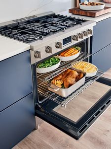 Bosch industrial range with oven racks out