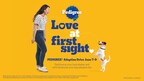 The PEDIGREE® Adoption Drive Encourages You to Find Love at First Sight at Your Local Shelter