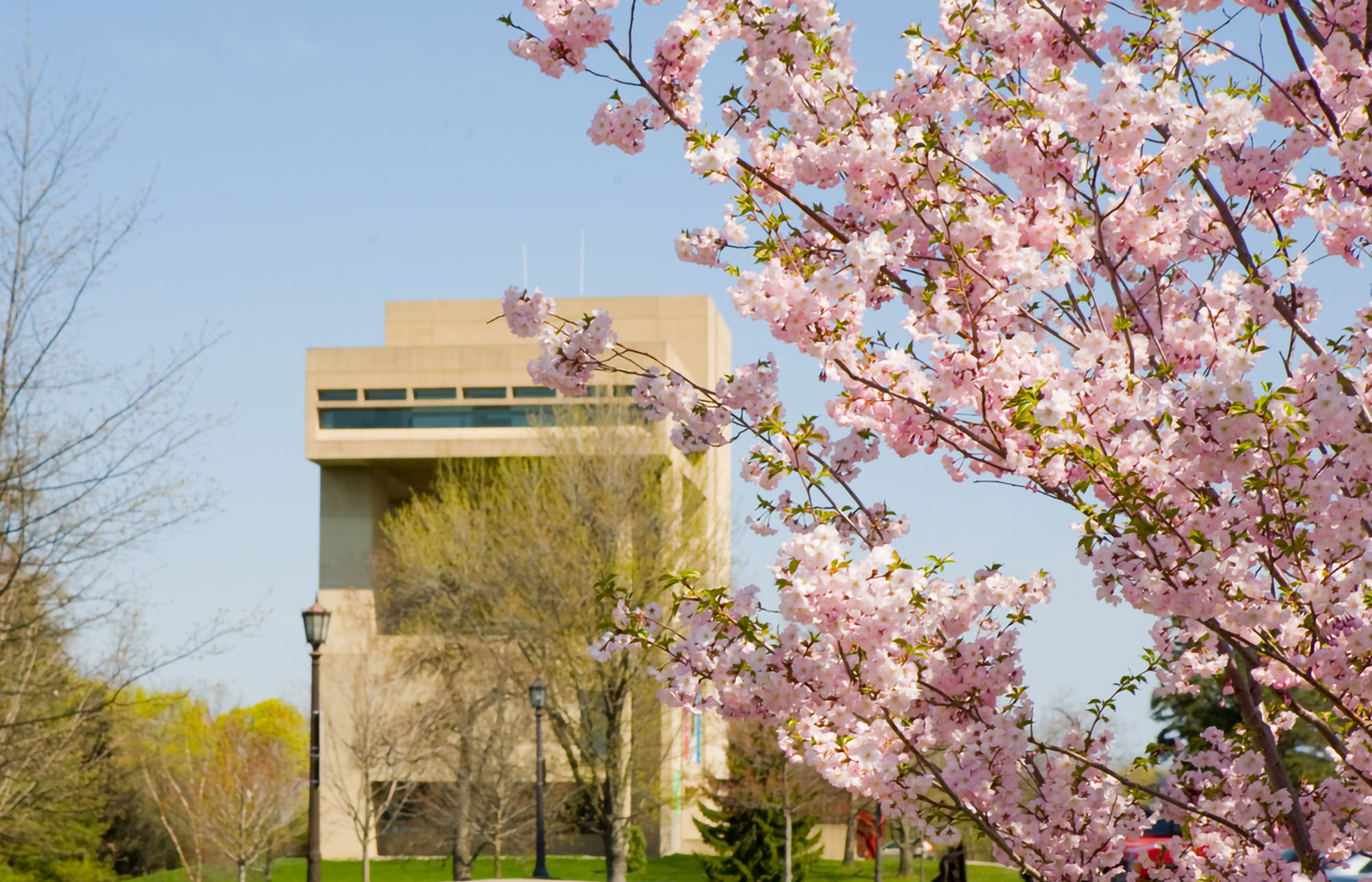 The Johnson Museum of Art in springtime wtih cherry blossoms