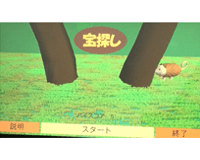 森の宝探し