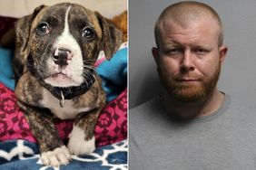 Ryder, Puppy found in bag, Harold Dean Lilly Mugshot