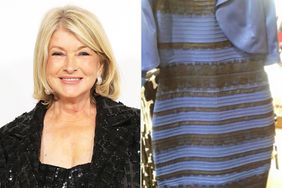 Martha Stewart Reignites Blue-or-Gold Dress Debate After Grandchildren Introduces Her To It: âI Find This So Interestingâ