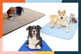 Collage of cooling pads we recommend on a white background with a colorful frame
