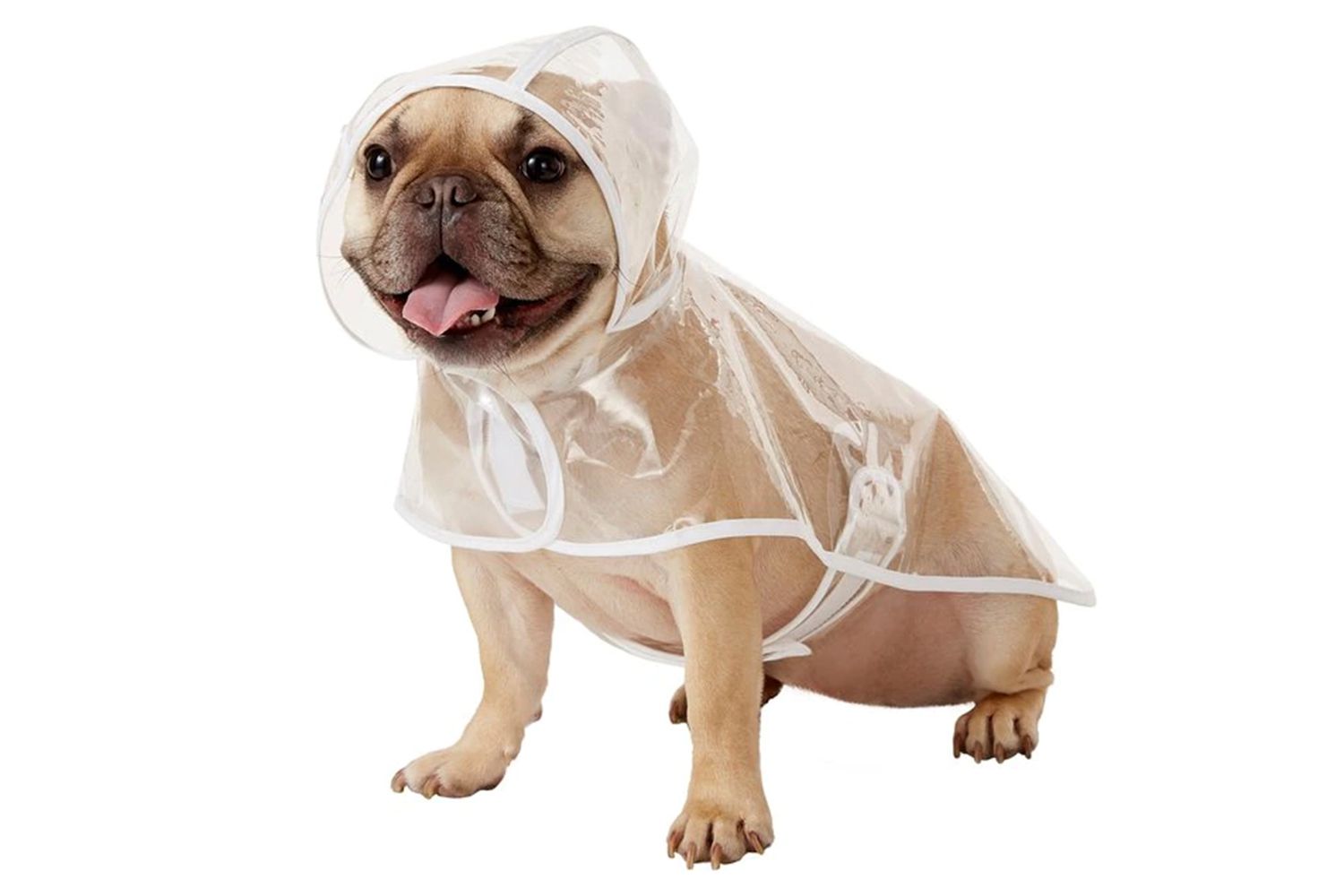 Frisco Clear Vinyl Dog Raincoat