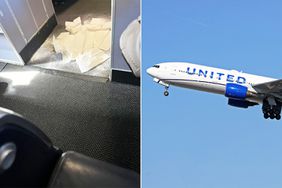 United flight being diverted due to a dog pooping in the aisle in first class