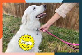 People Tested badged image of person putting the Primal Pet Gear Double Handle Dog Leash on white dog