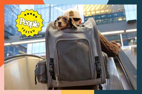 Person with dog in Mr. Peanut's Aspen Series Airline Approved Bag