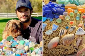 Veteran Who Sailed the World Hunting Sea Glass with His Dog Shares Treasures, Raises Money to Clone a New Companion
