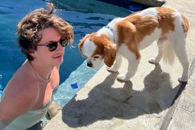 Headline: Charlie Puth Mourns the Loss of His Dog Brady: 'His Tiny Spirit Lingers on' https://www.instagram.com/p/Cda5x5nuDYp/?utm_source=ig_web_copy_link