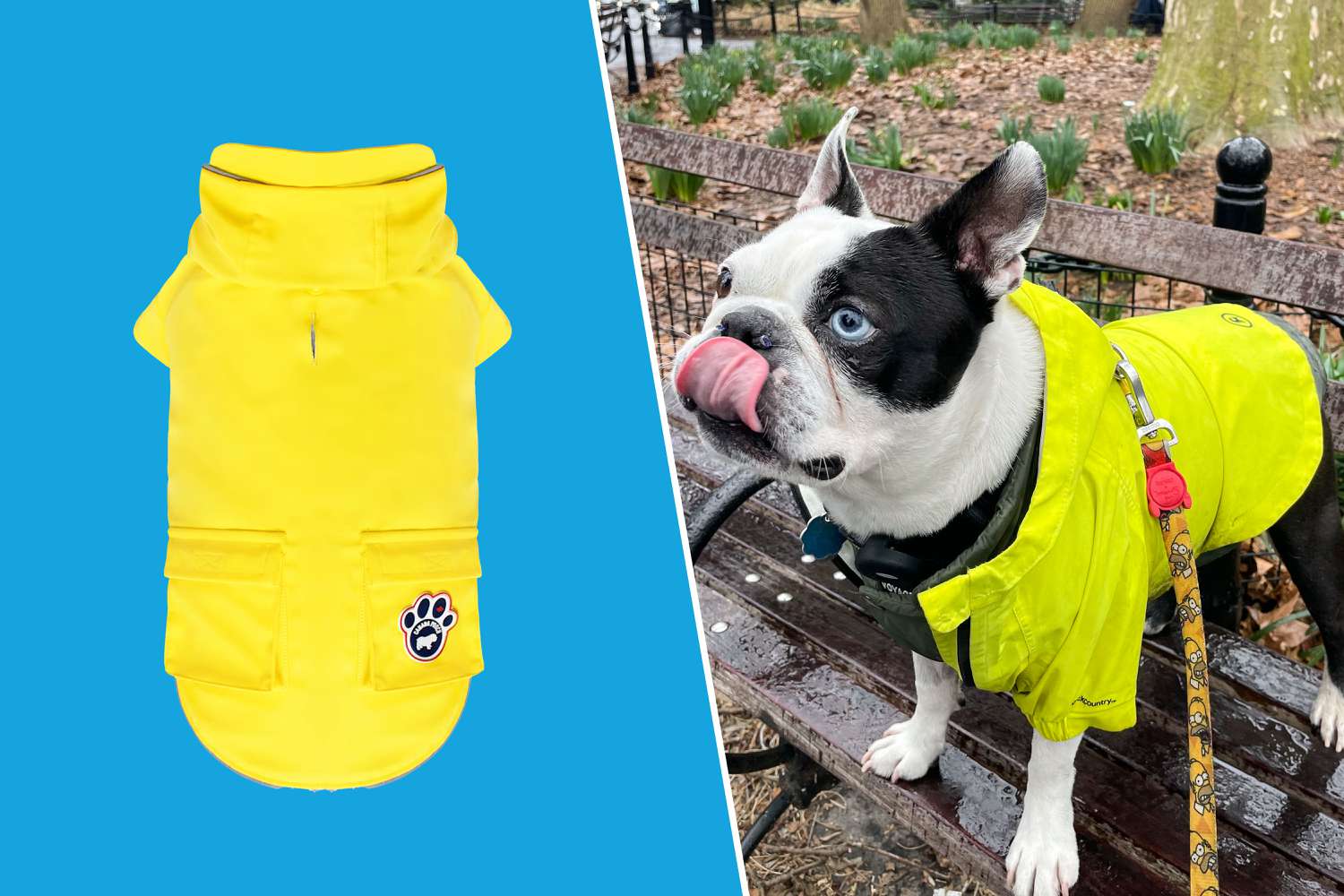 The Best Dog Raincoats in a collage format
