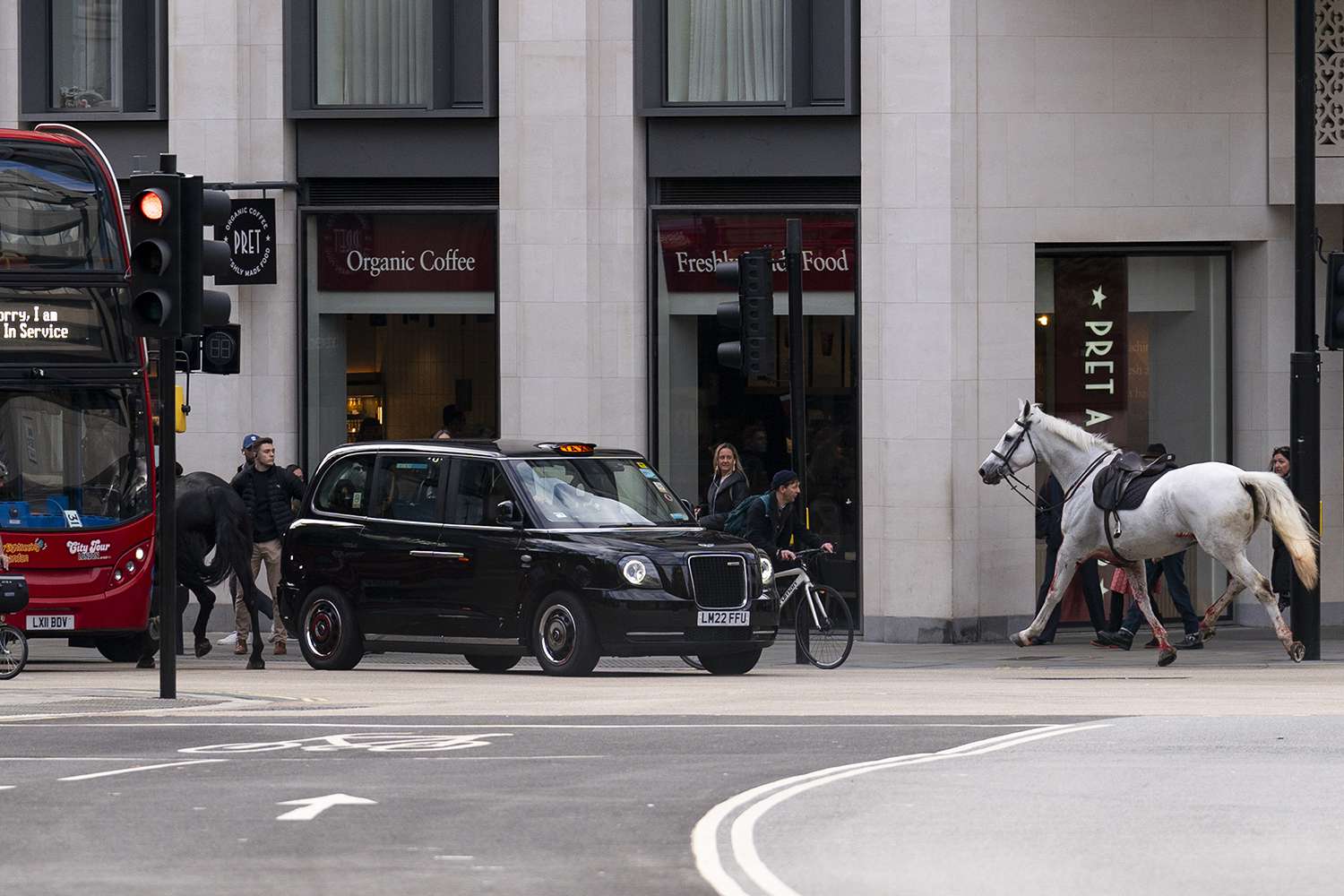 Two horses on the loose bolt through the streets of London near Aldwych. 