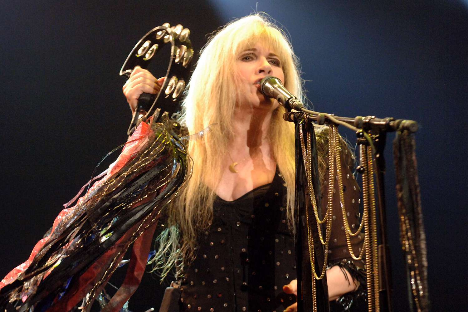 Stevie Nicks performs with Tom Petty and the Heartbreakers