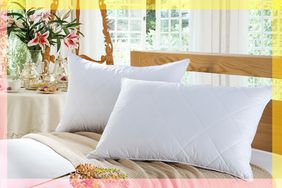 One-Off: Home Soft Goods Deal: Pillows Tout