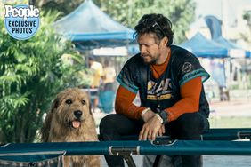 Mark Wahlberg Bonds with a Stray Dog in Arthur the King Trailer (Exclusive)
