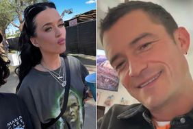 Katy Perry Wears a Legolas Shirt at Coachella