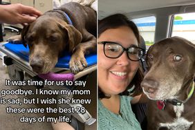 Woman who adopted dog for 28 days