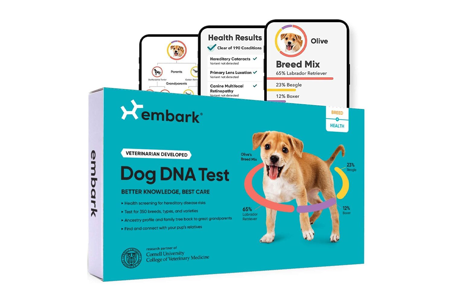 Embark Vet Breed &amp; Health Dog DNA Test