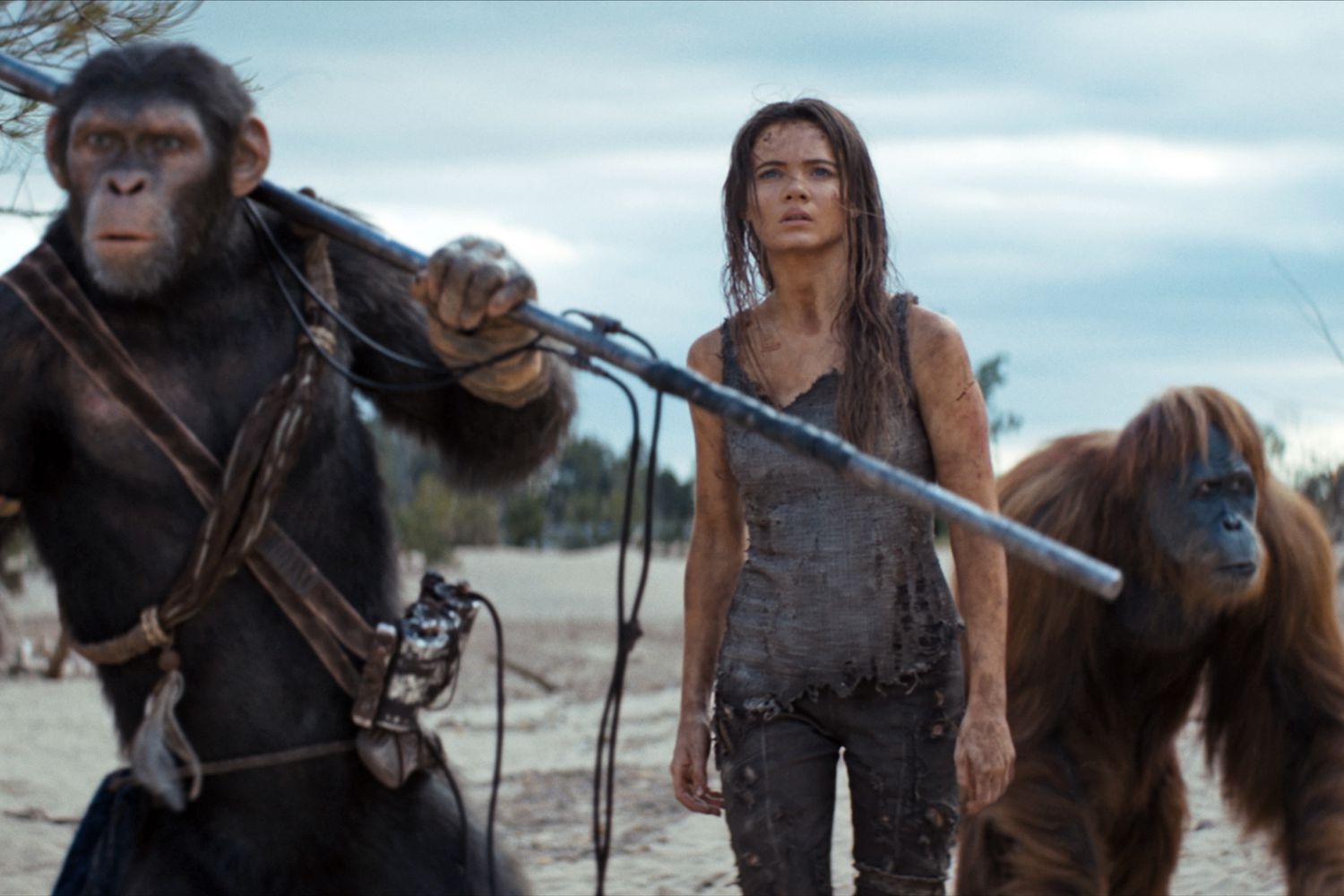 Noa (played by Owen Teague) , Freya Allan as Nova and Raka (played by Peter Macon) in 20th Century Studios' KINGDOM OF THE PLANET OF THE APES.