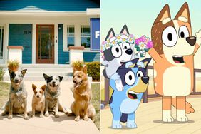 Zillow Pays Tribute to Bluey in New Ad from Ryan Reynolds' Production Company 