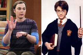 BIG BANG THEORY, Jim Parsons, HARRY POTTER AND THE SORCERER'S STONE, Daniel Radcliffe