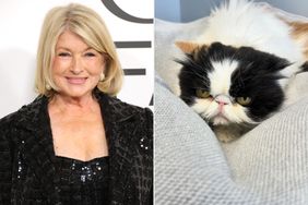 Martha Stewart Mourns the Death of Her Cat Empress Tang Has Died