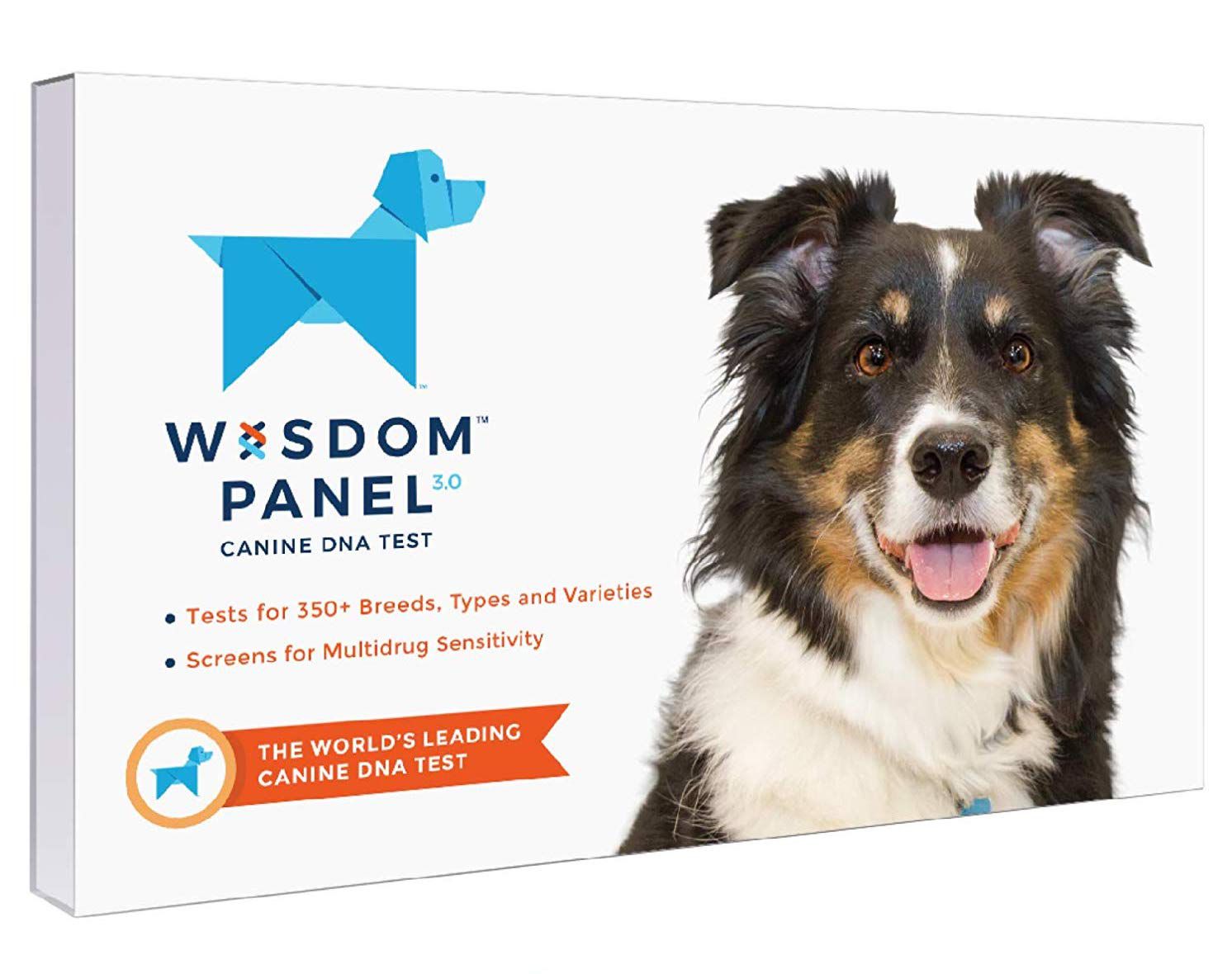 Wisdom Panel Breed Discovery Dog DNA Collection Kit
