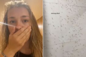 HOME/TRAVEL: Woman Walks in on âHundreds, if Not Thousandsâ of Ants Swarming Her Hostelâs Bathroom: âI Gaspedâ 