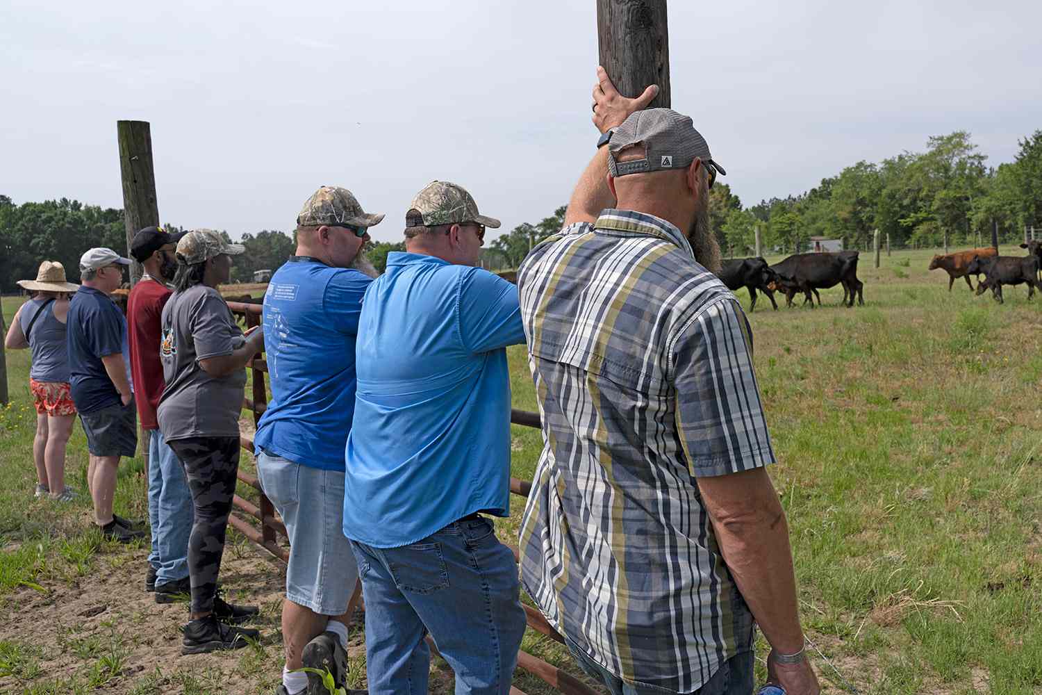 Marvin Frink, army vet, invited other vets to come to his farm to learn about agriculture and the healing benefits of farming. Photographed at Briarwood Cattle Farm, in Red Springs, NC on 5/21/22 by Kennedi Carter, @internetbby