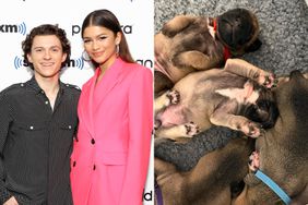 Tom Holland and Zendaya attend SiriusXM's Town Hall with the cast of Spider-Man: No Way Home; Tom Holland and Zendaya Cuddle Rescue Puppies Together at U.K. Animal Shelter 