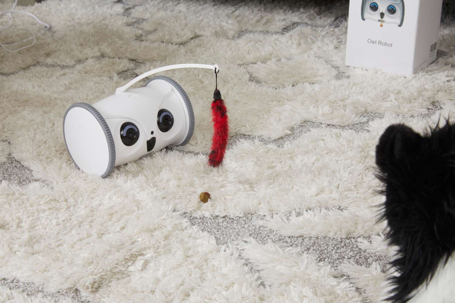 Skymee Owl Robot with a toy attached in front of a pet