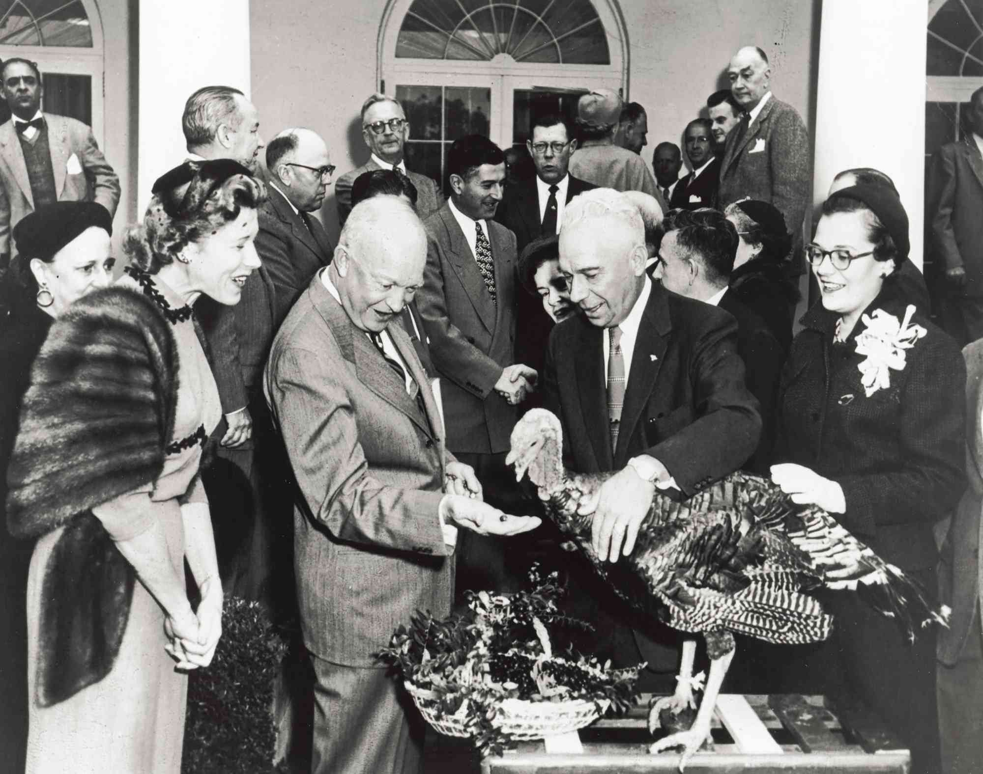 President Eisenhower Feeds a Turkey