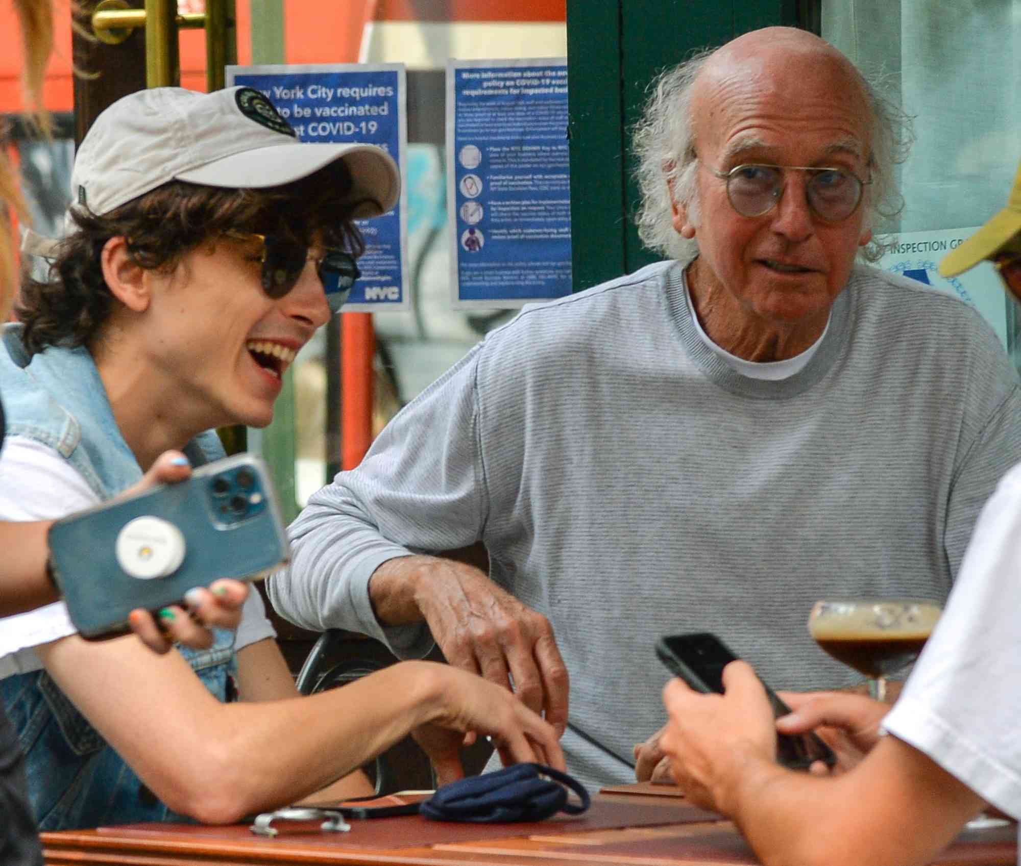 larry david and timothee chalamet