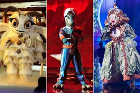 Poodle Moth, Lizard and Clock the masked singer