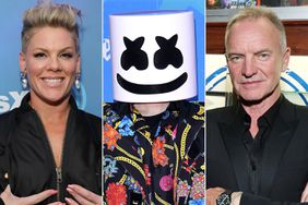 Pink Teases 'Beautifully Random' Collaboration with Sting and Marshmello