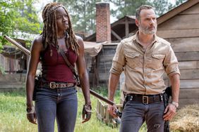 Norman Reedus as Daryl Dixon, Andrew Lincoln as Rick Grimes, Danai Gurira as MichonneÂ - The Walking Dead _ Season 9, Episode 1