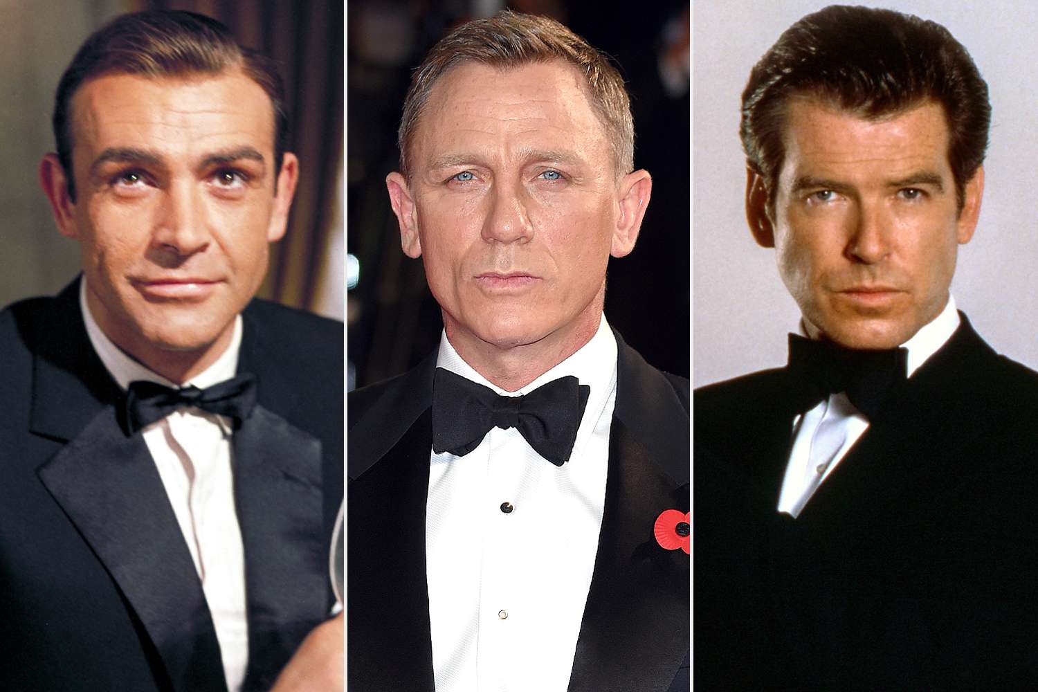 Sean Connery, Daniel Craig, Pierce Brosnan, James Bond
