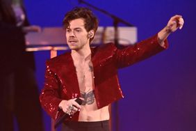  Harry Styles Hit in Face Again By Object Thrown During Vienna ConcertÂ 