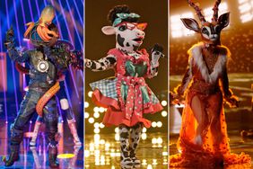  Diver, Cow and Gazelle on The masked singer