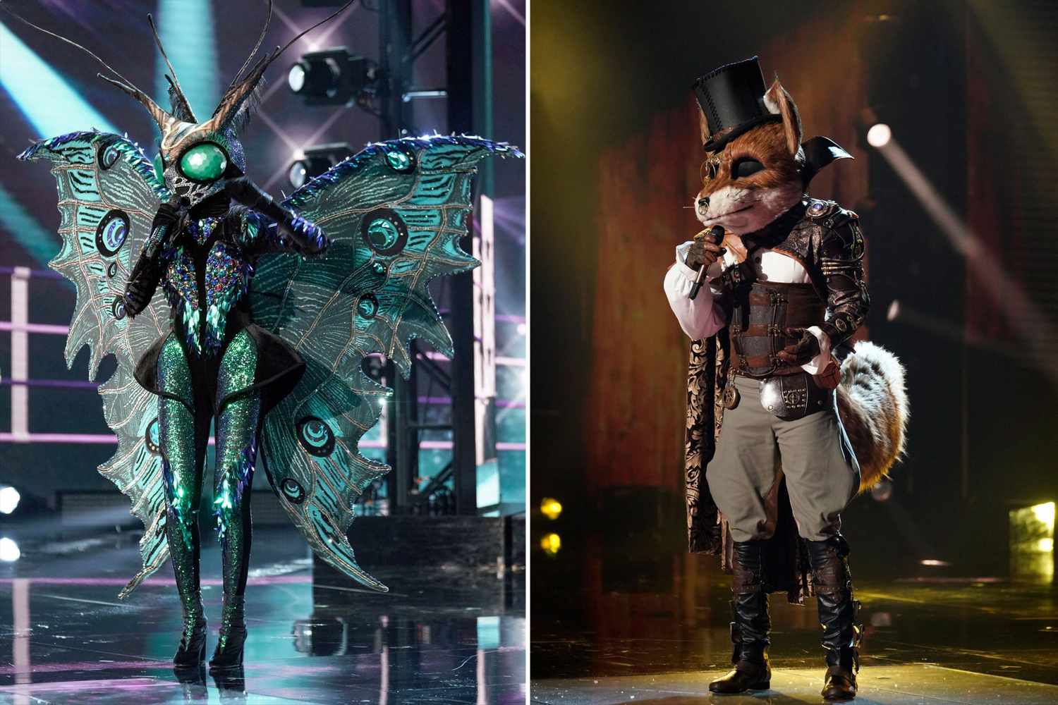 Butterfly and Fox on Masked Singer