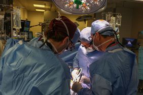 Surgeons perform kidney transplant with modified pig kidney at Massachusetts General Hospital
