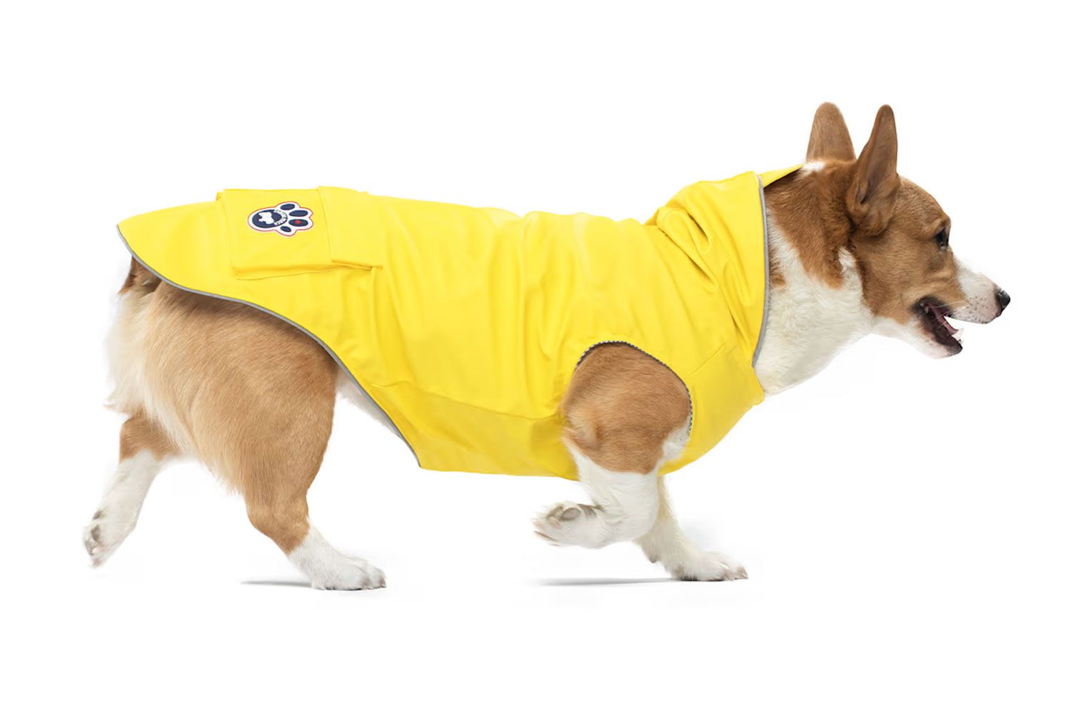 Canada Pooch Yellow Dog Torrential Tracker